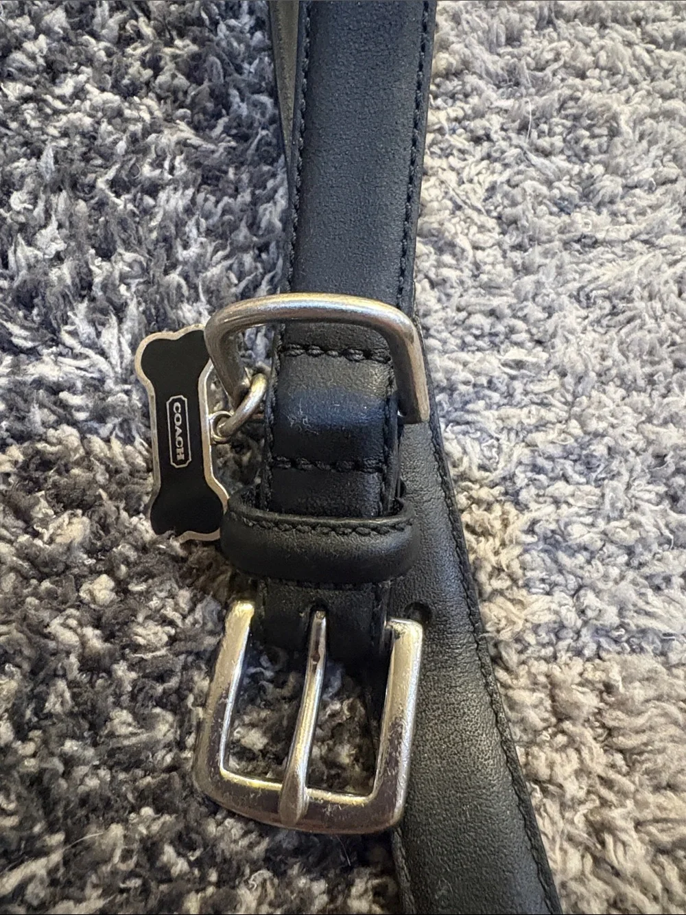 Coach dog collar